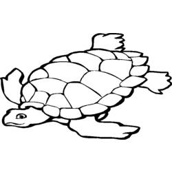Malvorlage: Schildkröte (Tiere) #13396 - Kostenlose Malvorlagen zum Ausdrucken
