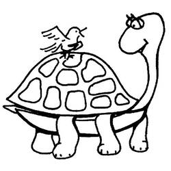 Malvorlage: Schildkröte (Tiere) #13404 - Kostenlose Malvorlagen zum Ausdrucken