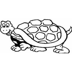 Malvorlage: Schildkröte (Tiere) #13406 - Kostenlose Malvorlagen zum Ausdrucken