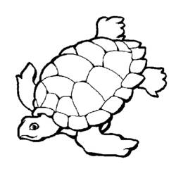 Malvorlage: Schildkröte (Tiere) #13412 - Kostenlose Malvorlagen zum Ausdrucken