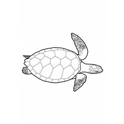 Malvorlage: Schildkröte (Tiere) #13421 - Kostenlose Malvorlagen zum Ausdrucken