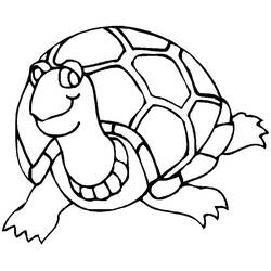 Malvorlage: Schildkröte (Tiere) #13423 - Kostenlose Malvorlagen zum Ausdrucken