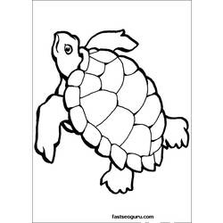 Malvorlage: Schildkröte (Tiere) #13429 - Kostenlose Malvorlagen zum Ausdrucken