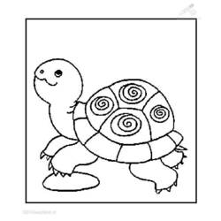 Malvorlage: Schildkröte (Tiere) #13432 - Kostenlose Malvorlagen zum Ausdrucken