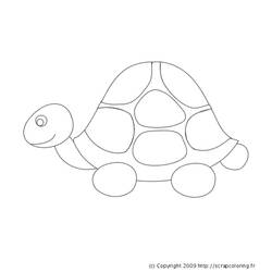Malvorlage: Schildkröte (Tiere) #13437 - Kostenlose Malvorlagen zum Ausdrucken