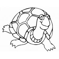 Malvorlage: Schildkröte (Tiere) #13448 - Kostenlose Malvorlagen zum Ausdrucken