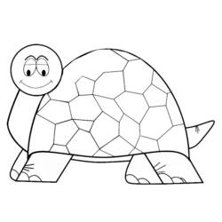 Malvorlage: Schildkröte (Tiere) #13464 - Kostenlose Malvorlagen zum Ausdrucken