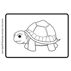 Malvorlage: Schildkröte (Tiere) #13466 - Kostenlose Malvorlagen zum Ausdrucken