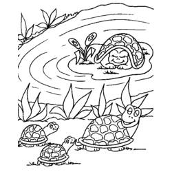 Malvorlage: Schildkröte (Tiere) #13468 - Kostenlose Malvorlagen zum Ausdrucken