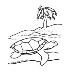 Malvorlage: Schildkröte (Tiere) #13469 - Kostenlose Malvorlagen zum Ausdrucken