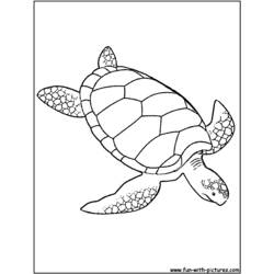 Malvorlage: Schildkröte (Tiere) #13485 - Kostenlose Malvorlagen zum Ausdrucken