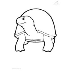 Malvorlage: Schildkröte (Tiere) #13526 - Kostenlose Malvorlagen zum Ausdrucken