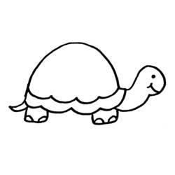 Zeichnungen zum Ausmalen: Schildkröte - Druckbare Malvorlagen