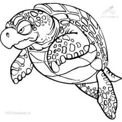 Malvorlage: Schildkröte (Tiere) #13536 - Kostenlose Malvorlagen zum Ausdrucken