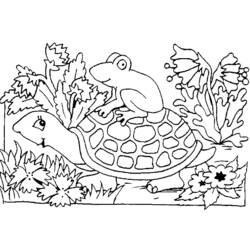 Malvorlage: Schildkröte (Tiere) #13557 - Kostenlose Malvorlagen zum Ausdrucken