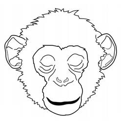 Malvorlage: Schimpanse (Tiere) #2773 - Kostenlose Malvorlagen zum Ausdrucken