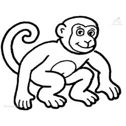 Malvorlage: Schimpanse (Tiere) #2788 - Kostenlose Malvorlagen zum Ausdrucken