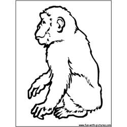 Malvorlage: Schimpanse (Tiere) #2794 - Kostenlose Malvorlagen zum Ausdrucken