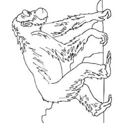 Malvorlage: Schimpanse (Tiere) #2796 - Kostenlose Malvorlagen zum Ausdrucken