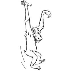 Malvorlage: Schimpanse (Tiere) #2812 - Kostenlose Malvorlagen zum Ausdrucken
