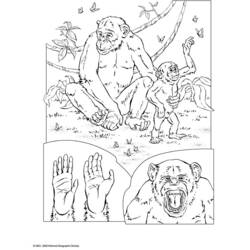 Malvorlage: Schimpanse (Tiere) #2832 - Kostenlose Malvorlagen zum Ausdrucken