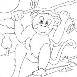 Malvorlage: Schimpanse (Tiere) #2866 - Kostenlose Malvorlagen zum Ausdrucken