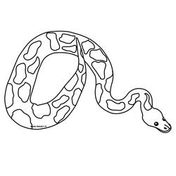 Malvorlage: Schlange (Tiere) #14352 - Kostenlose Malvorlagen zum Ausdrucken
