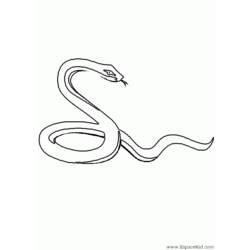 Malvorlage: Schlange (Tiere) #14365 - Kostenlose Malvorlagen zum Ausdrucken