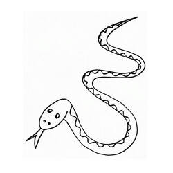 Malvorlage: Schlange (Tiere) #14370 - Kostenlose Malvorlagen zum Ausdrucken
