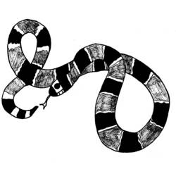 Malvorlage: Schlange (Tiere) #14426 - Kostenlose Malvorlagen zum Ausdrucken