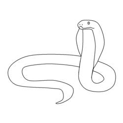 Malvorlage: Schlange (Tiere) #14475 - Kostenlose Malvorlagen zum Ausdrucken