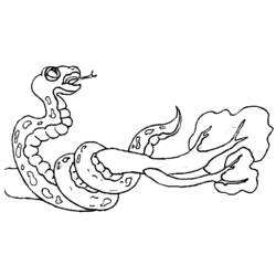 Malvorlage: Schlange (Tiere) #14502 - Kostenlose Malvorlagen zum Ausdrucken