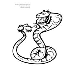 Malvorlage: Schlange (Tiere) #14536 - Kostenlose Malvorlagen zum Ausdrucken