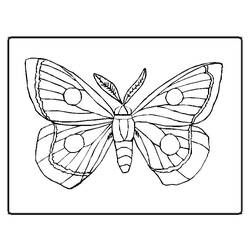Malvorlage: Schmetterling (Tiere) #15667 - Kostenlose Malvorlagen zum Ausdrucken