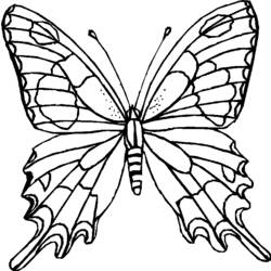 Malvorlage: Schmetterling (Tiere) #15676 - Kostenlose Malvorlagen zum Ausdrucken