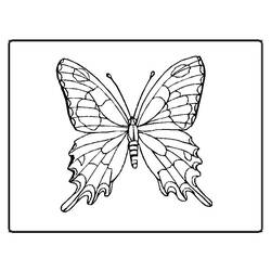 Malvorlage: Schmetterling (Tiere) #15678 - Kostenlose Malvorlagen zum Ausdrucken