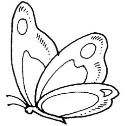 Malvorlage: Schmetterling (Tiere) #15685 - Kostenlose Malvorlagen zum Ausdrucken