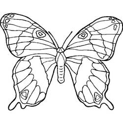 Malvorlage: Schmetterling (Tiere) #15697 - Kostenlose Malvorlagen zum Ausdrucken