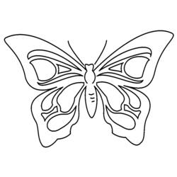 Malvorlage: Schmetterling (Tiere) #15707 - Kostenlose Malvorlagen zum Ausdrucken