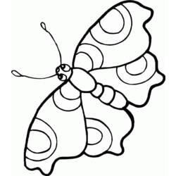 Malvorlage: Schmetterling (Tiere) #15708 - Kostenlose Malvorlagen zum Ausdrucken