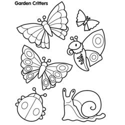 Malvorlage: Schmetterling (Tiere) #15714 - Kostenlose Malvorlagen zum Ausdrucken