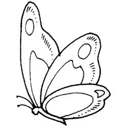 Malvorlage: Schmetterling (Tiere) #15719 - Kostenlose Malvorlagen zum Ausdrucken