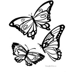 Malvorlage: Schmetterling (Tiere) #15730 - Kostenlose Malvorlagen zum Ausdrucken
