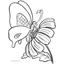 Malvorlage: Schmetterling (Tiere) #15732 - Kostenlose Malvorlagen zum Ausdrucken