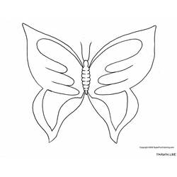 Malvorlage: Schmetterling (Tiere) #15738 - Kostenlose Malvorlagen zum Ausdrucken