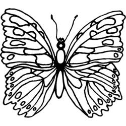 Malvorlage: Schmetterling (Tiere) #15746 - Kostenlose Malvorlagen zum Ausdrucken