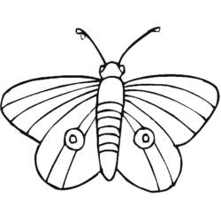 Malvorlage: Schmetterling (Tiere) #15752 - Kostenlose Malvorlagen zum Ausdrucken