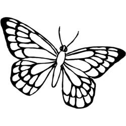 Zeichnungen zum Ausmalen: Schmetterling - Druckbare Malvorlagen