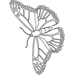 Malvorlage: Schmetterling (Tiere) #15773 - Kostenlose Malvorlagen zum Ausdrucken