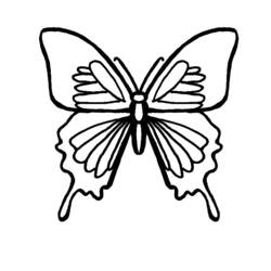 Malvorlage: Schmetterling (Tiere) #15779 - Kostenlose Malvorlagen zum Ausdrucken